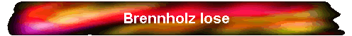 Brennholz lose