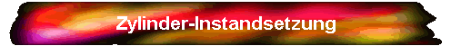 Zylinder-Instandsetzung
