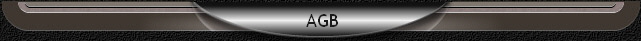  AGB