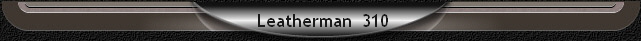  Leatherman  310